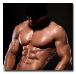 done for your nutrition plans for building muscle