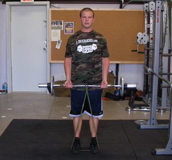 resistance band Barbell Curls exercise
