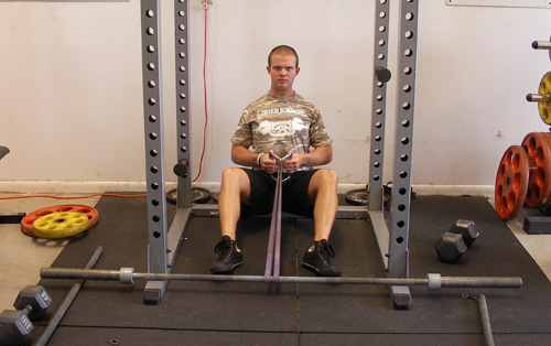 Seated Band Rows With Handle Back Exercise
