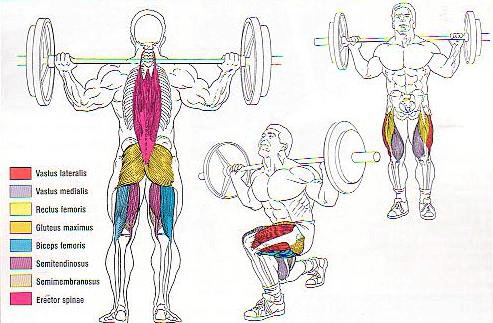 Barbell Lunges