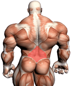 Supermans Lower Back Exercise Example Video