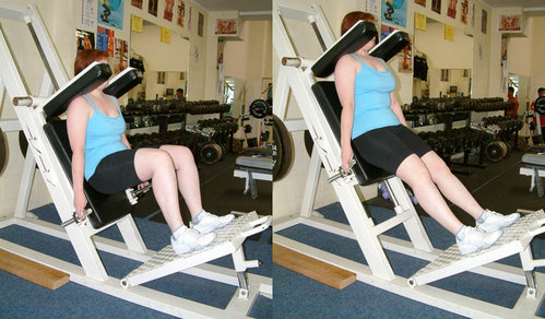 Hack Squat