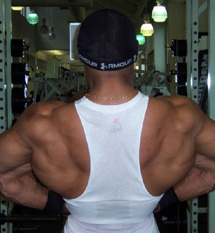 High Pull Back Exercise Video Free Example