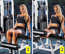 Leg Extensions