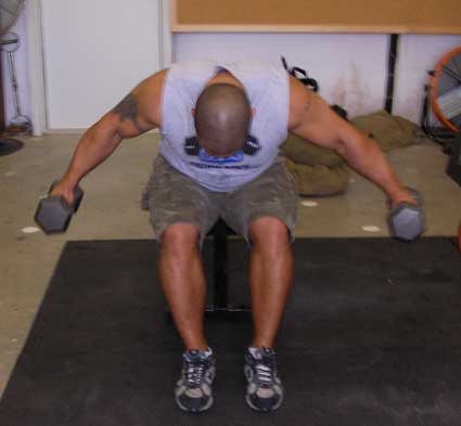 Seated Bent-Over Rear Lateral Raise shoulder exercise