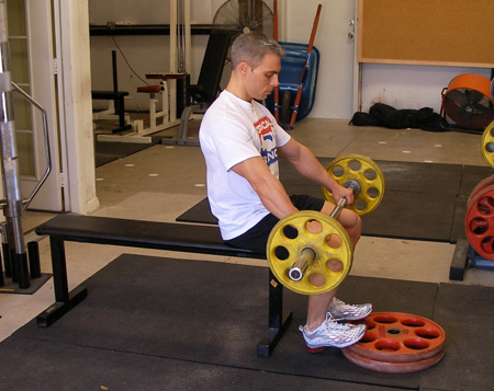 Seated Barbell Calf Raises Exercise