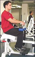 Seated Calf Raises