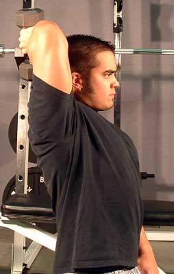 Seated DB Triceps Extensions