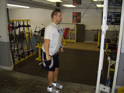 Straight Arm Pull Downs