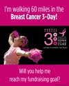 Tampa Bay 3 Day Cancer Walk