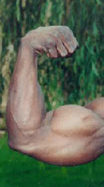 Kava Kava Supplement Review and Guide