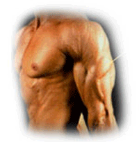 L-Cysteine Supplement Review and Guide 