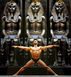 Maca Supplement Review and Guide