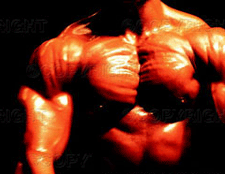 Tyramine Supplement Review and Guide