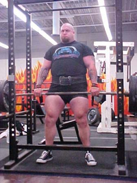 Alfalfa Supplement Review and Guide