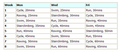 A Basic Primer on Endurance Training