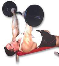 The Best Tricep Exercise Ever!