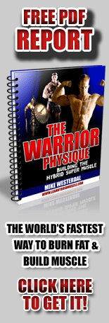 Build Lean Muscle with the Warrior Physique on building hybrid muscle