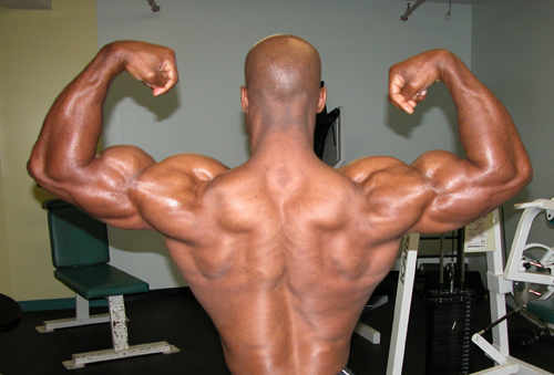 Creative Applications of Circuit Training: Part I