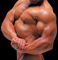 DHEA Supplement Review and Guide