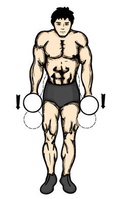 An Effective 4 Week Massive Chest Building Workout