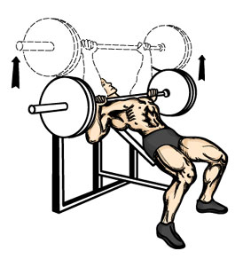 An Effective 4 Week Massive Chest Building Workout