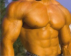 Eliminating Old Body Building Myths!