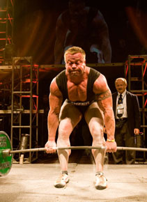 FREE Muscle Building Tips