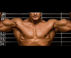 The Benefits of Glutamine - Muscle Building