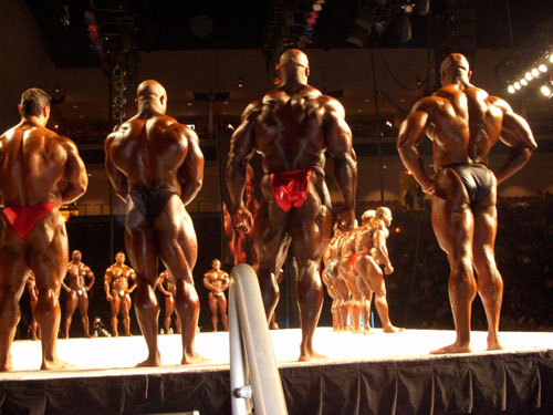 The Great Protein Lie!