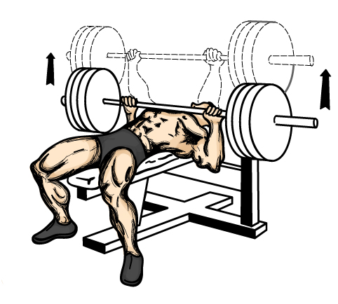 bench press picture