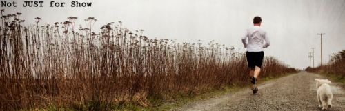 More Pain = More Gains