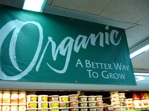 Why Is That Organic Food Is Better Than Chemical Food?