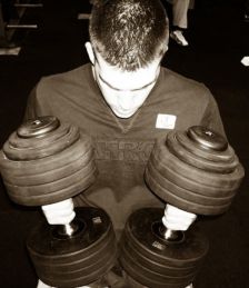 Cows aren't designed to eat grains