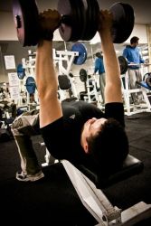 some milk farmers use BGH to assist cows produce more milk