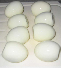 Why Protein Won't Make You Fat