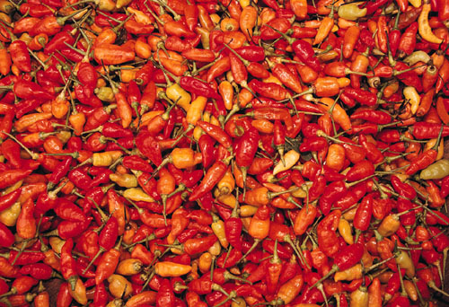 Using Hot Peppers For Reducing Appetite