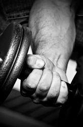 absorbed more by the muscle cells