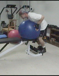 Swiss Ball Reverse Hyperextensions