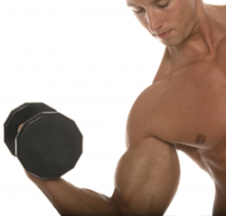 What Is Your Training Operating System?