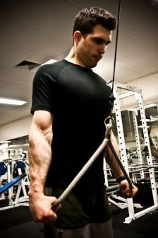 Green tea originates from a plant