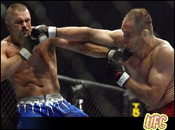 UFC Ultimate Fighting