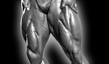 Leg Weight Lifting Workout