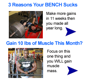 Bench Program