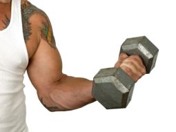 How to Build Muscle Mass on 3 Meals a Day