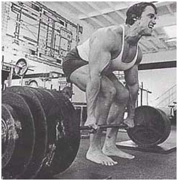 training 101 main rule 1