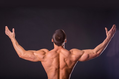 backmuscle-article