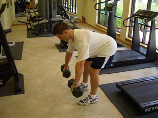 dumbbell rows