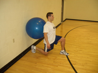 stability ball split squat