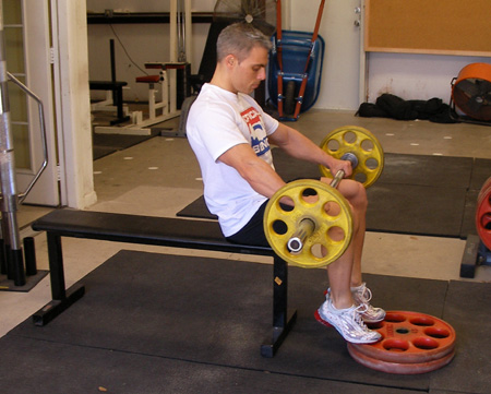 Seated Barbell Calf Raises Exercise